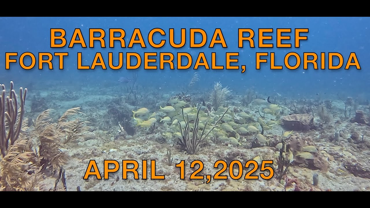 SCUBA Diving Barracuda Reef in Fort Lauderdale, Florida