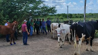 PROFESSOR DO SENAR DERAM UMA AULA NO SÍTIO DE HUGO DE SABEDORIA E DE HUMILDADE.