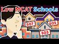 MCAT and Medical School Admissions