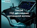 Видеоанонс к лекции УЗД заболеваний щитовидной железы