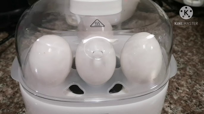 We Tried the Lidl SilverCrest Egg Cooker (Review)