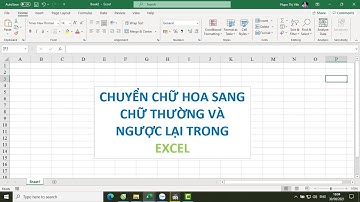 Cách chuyển chữ hoa sang chữ thường trong excel [Tin học văn phòng 365]