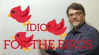 English Tutor Nick P Idioms (232) For the Birds