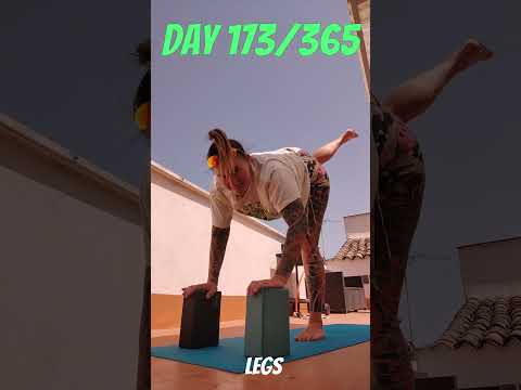 Day 173/365