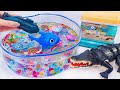 🦈Toy ASMR🦈Baby Shark &amp; Robo Giant Black Crocodile &amp; Aquarium &amp; Robo Sea Animal Toys 🌟 Review Toys