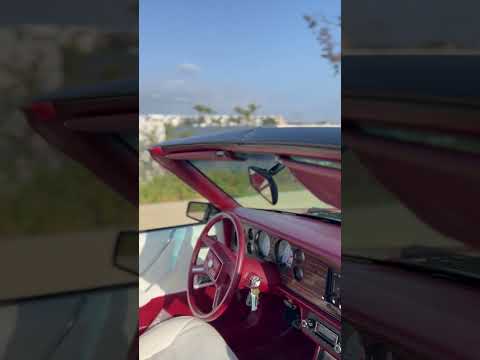 1983 mustang gt