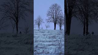 5 Month in 25 Seconds - Time Lapse from Summer to Winter #shorts #timelapse