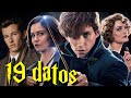 19 datos de la familia Scamander-Goldstein