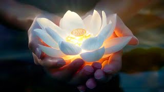 Reiki Music  Get Rid Of All Bad Energy  Increase Mental Strength  Reduce Stress And Anxiety