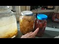 Apple Cider Vinegar from Scratch (with and without Mother)