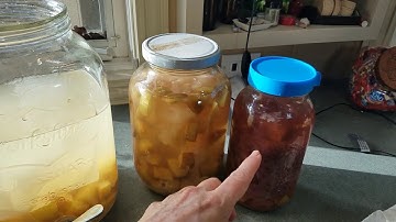 Apple Cider Vinegar from Scratch (with and without Mother)