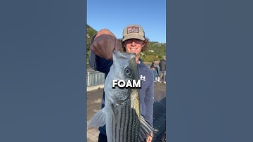 How To Keep Your Live Bait Alive!!!