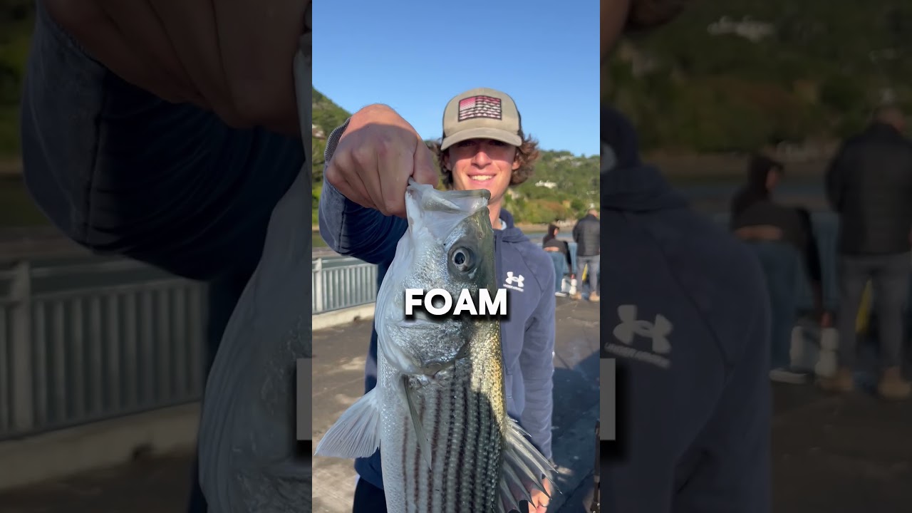 How To Keep Your Live Bait Alive!!!