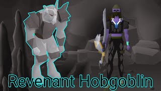 Loot from 1h of Revenant Hobgoblin | Revenant Slayer