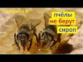 #Пчёлы не забирают корм из кормушки. Какие причины этого пагубного явления на #пасеке. #TruskawkaR