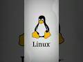Manam rasina code ekkada run avuthundi? #linux #viral #explore #it #software #devops #like #penguin