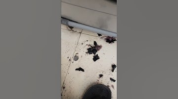 IFB washing machine dper error solve #dper error #shorts