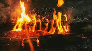 Hi̇rai̇ Zerdüş Ölüyorum