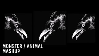 Lady Gaga - Animal / Monster (Mashup)