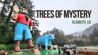 Trees of Mystery: Exploring the Giant Redwoods and Suspension Bridges  rvlife family outdoors vlog