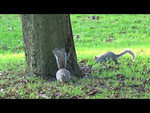 short travel vlog in Birmingham