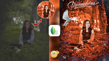 Snapseed Orange And Bird Effect Photo Editing Tricks | Snapseed Background Colour Change |