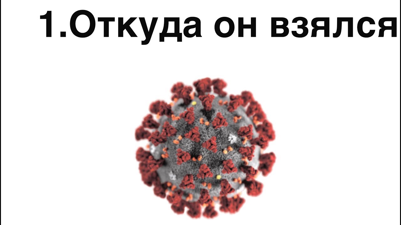 Доклад: Форс-мажор или применение ссылок на обстоятельства непреодолимой силы в хозяйственных договорах