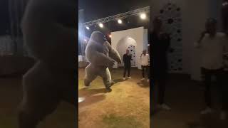 Egyptian Gorilla Dance