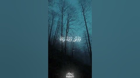 أكتب شئ تؤجر عليه | #المنشاوي #سورة_الرحمن