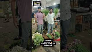 લીલા લસણ ના બજાર ભાવ 🔥 ll #greengarlic #apmcgondal #vegetables #agriculture