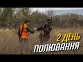 ПРОДОВЖЕННЯ Панського полювання на ФАЗАНА