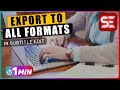 How to EXPORT ANY Subtitle into Multiple Subtitle FORMATS at Once using Subtitle Edit