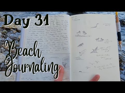 Journaling Outdoors | Nature Journaling With The Daily Nature Journal | Day 31