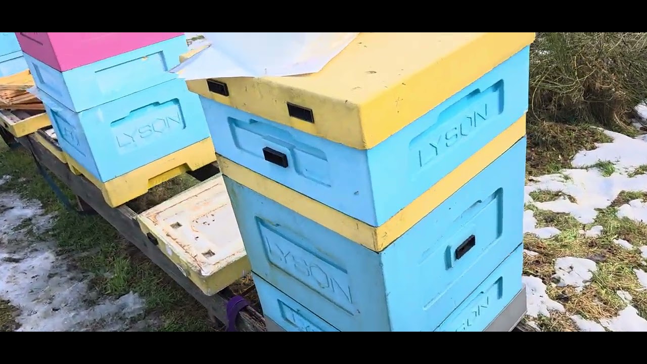 Łączenie rodzin na przedwiośniu. Obiecany zaległy film :) 