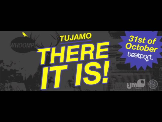 Tujamo - There It Is