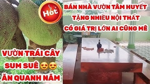 🔥GIẢM GIÁ KHỦNG - Nhà Vườn Củ Chi Tuyệt Đẹp 20m x 50m Triệu người MÊ