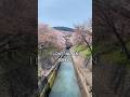 I love Japan, why?