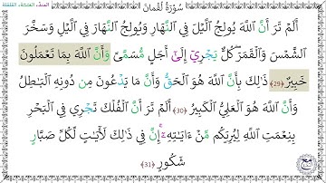 سورةُ لُقْمانَ (29 - 31) عبد الرحمن شاهين