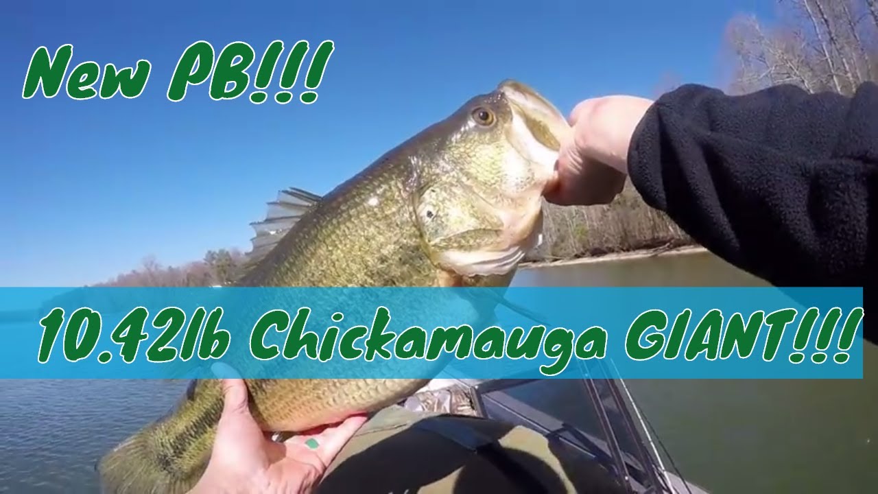 Lake Chickamauga 10lb Bass NEW PB!!! Prespawn Cold Front Lipless Lure