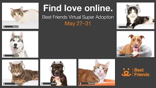Best Friends Animal Society Virtual Super Adoption
