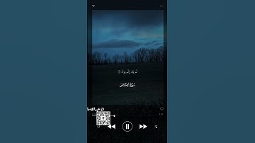 الشيخ ياسر الدوسري _ الحرم المكي #قران_كريم #اكسبلور #المصحف #قرآن #لايك #ياسر_الدوسري #الفتح#سورة