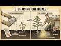 The UNBELIEVABLE Secret: How Plants Turn ROCKS into Your Food!