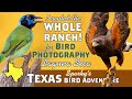 Texas Bird Photography: Laguna Seca Ranch: Part 2 Rio Grande Valley