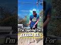 I’m applying for @officialbananaball What is your big dream? #baseballplayer #sports #bananaball