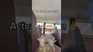 #audios