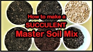 How to make a SUCCULENT MASTER SOIL MIX | Liz Kreate