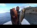 ✌Ψαροντούφεκο αρχές Ιούνη🔱Spearfishing in ealy June