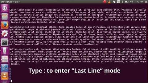 How to exit the Vi / Vim editor?