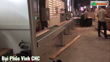 Máy cắt ngang khuyết tật (cắt vạch phấn) trong nhà máy chế biến gỗ xuất khẩu | WM-S260