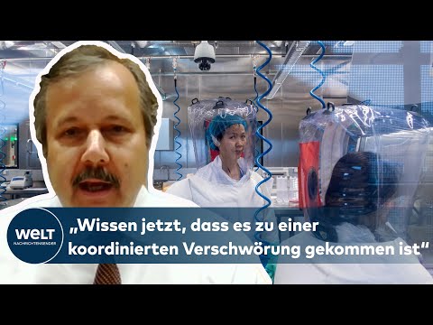 WUHAN-THEORIE: Worauf stützen Sie Ihre Verschwörungsvorwürfe, Prof. Wiesendanger? | WELT Interview